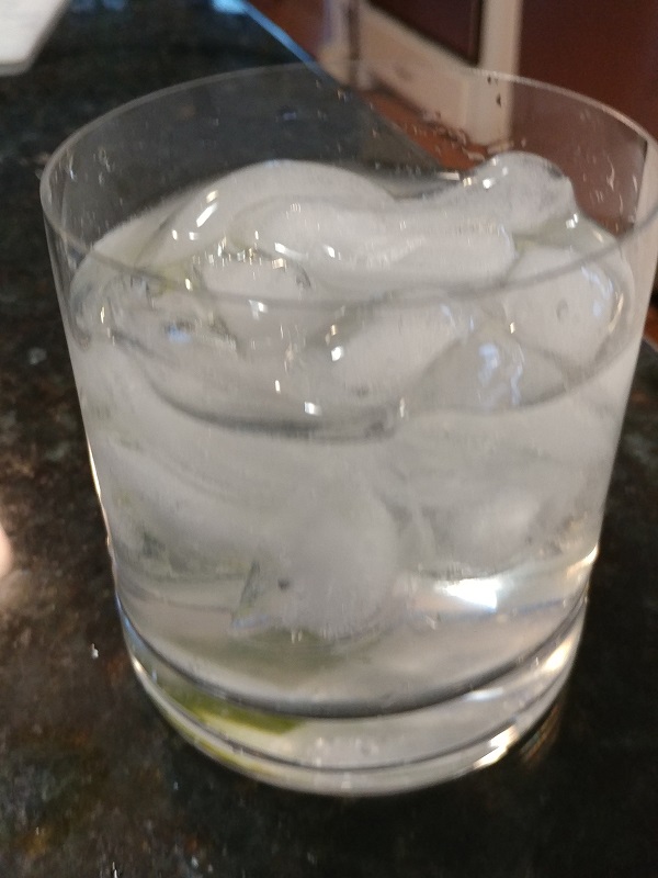 Gin and Tonic Cocktail